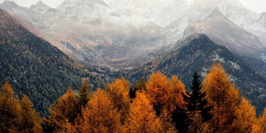 Fundamental Principles of Seventh-day Adventists